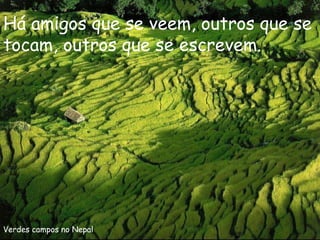 Verdes campos no Nepal Há amigos que se veem, outros que se tocam, outros que se escrevem.  