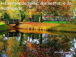 Outono no Canadá Há amigos da noite, das sestas, e da madrugada.  