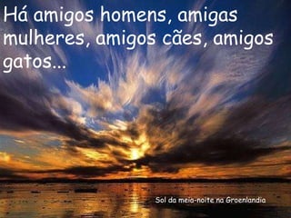 Sol da meia-noite na Groenlandia Há amigos homens, amigas mulheres, amigos cães, amigos gatos... 