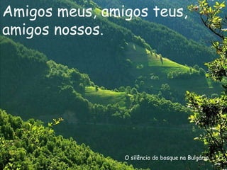 O silêncio do bosque na Bulgária Amigos meus, amigos teus, amigos nossos. 