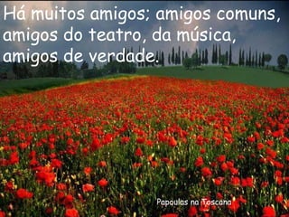 Papoulas na Toscana Há muitos amigos; amigos comuns, amigos do teatro, da música, amigos de verdade. 