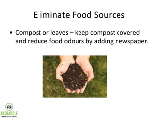 Eliminate Food Sources
• Compost or leaves – keep compost covered
and reduce food odours by adding newspaper.
 