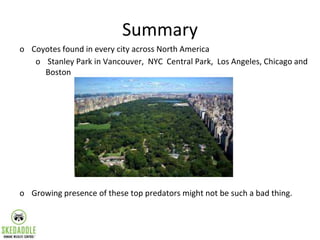 Summary
o Coyotes found in every city across North America
o Stanley Park in Vancouver, NYC Central Park, Los Angeles, Chi...