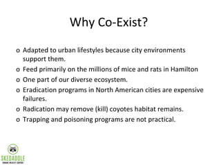Why Co-Exist?
o Adapted to urban lifestyles because city environments
support them.
o Feed primarily on the millions of mi...