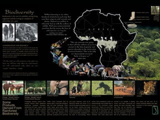Hamilton-Fynch Portfolio