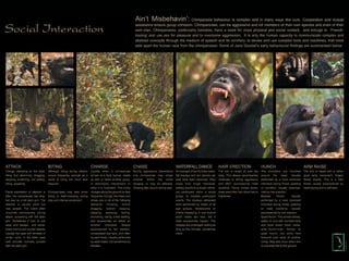 Hamilton-Fynch Portfolio