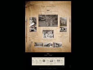 Hamilton-Fynch Portfolio