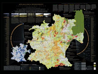 Hamilton-Fynch Portfolio