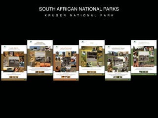 SOUTH AFRICAN NATIONAL PARKS
  K R U G E R   N A T I O N A L   P A R K
 