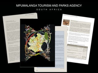 MPUMALANGA TOURISM AND PARKS AGENCY
          S O U T H   A F R I C A
 