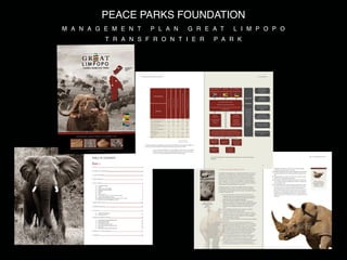 PEACE PARKS FOUNDATION
M A N A G E M E N T   P L A N   G R E A T   L I M P O P O
          T R A N S F R O N T I E R   P A R K
 
