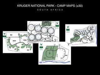 KRUGER NATIONAL PARK - CAMP MAPS (±30)
           S O U T H   A F R I C A
 
