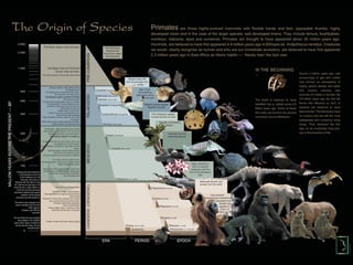 Hamilton-Fynch Portfolio