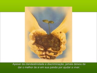 Apesar da clandestinidade e discriminação, jjaammaaiiss ddeeiixxoouu ddee 
ddaarr oo mmeellhhoorr ddee ssii eemm ssuuaa ppaaiixxããoo ppoorr aajjuuddaarr aa vviivveerr.. 
 