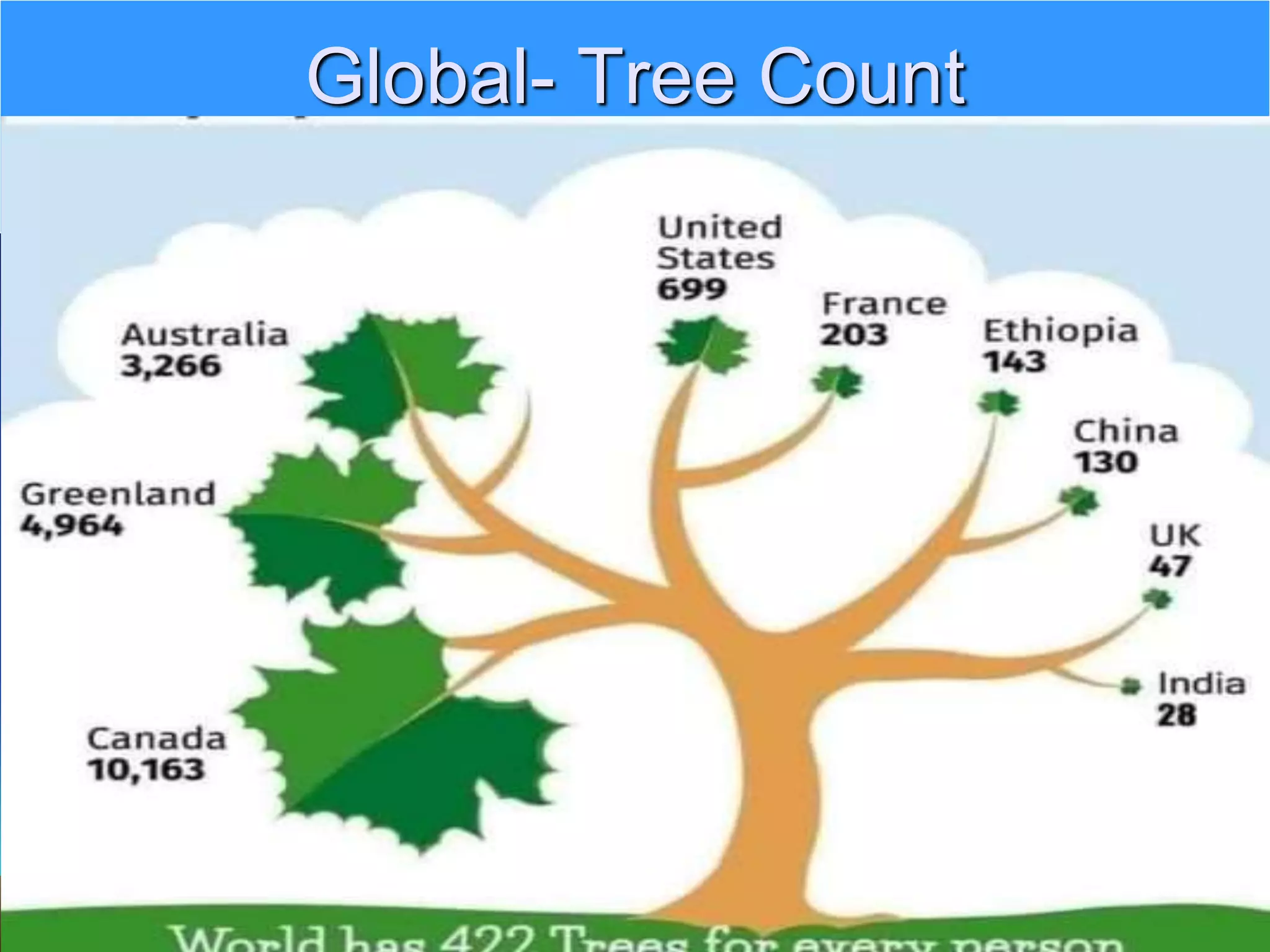 Global- Tree Count
 