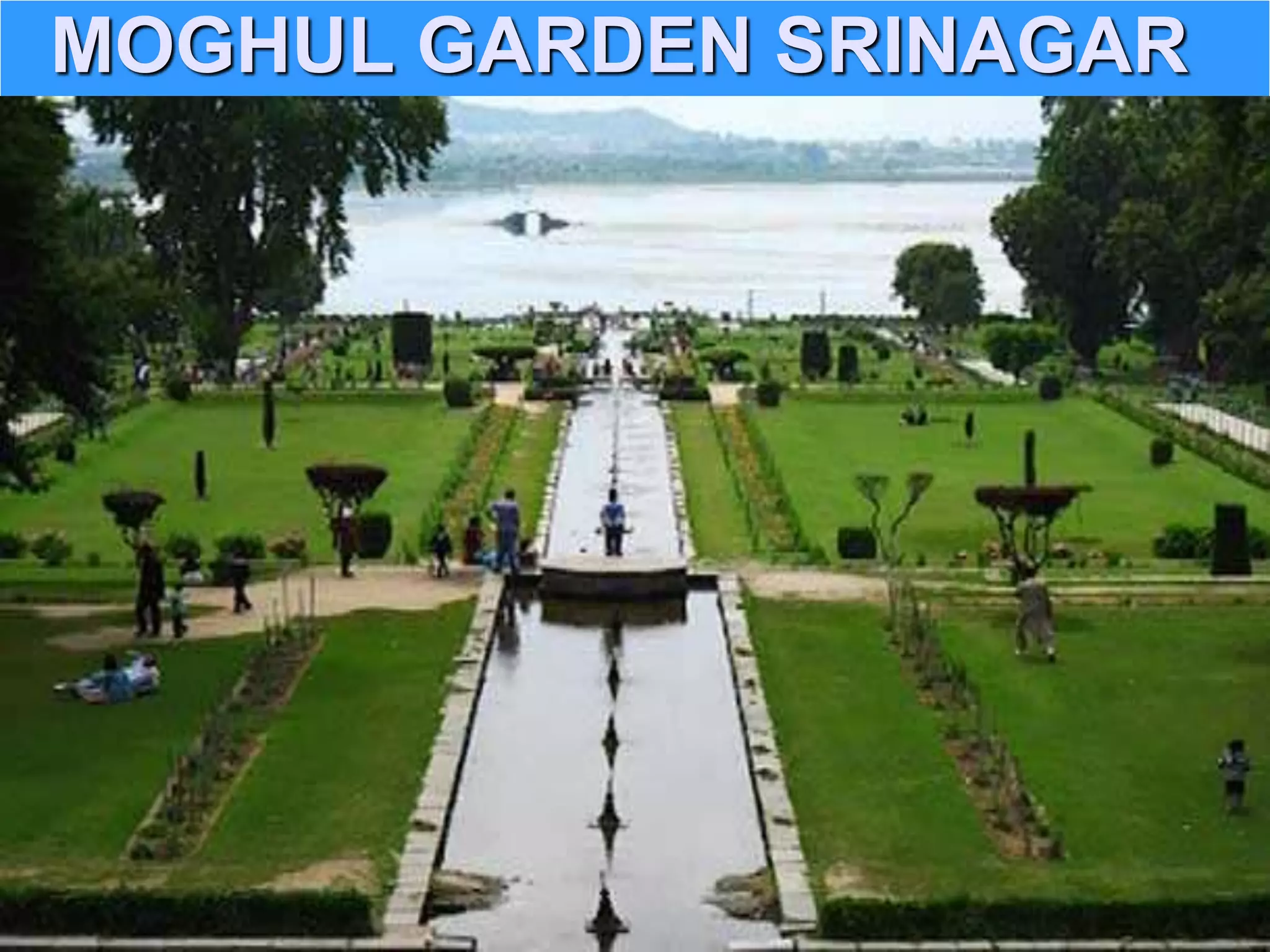 MOGHUL GARDEN SRINAGAR
 