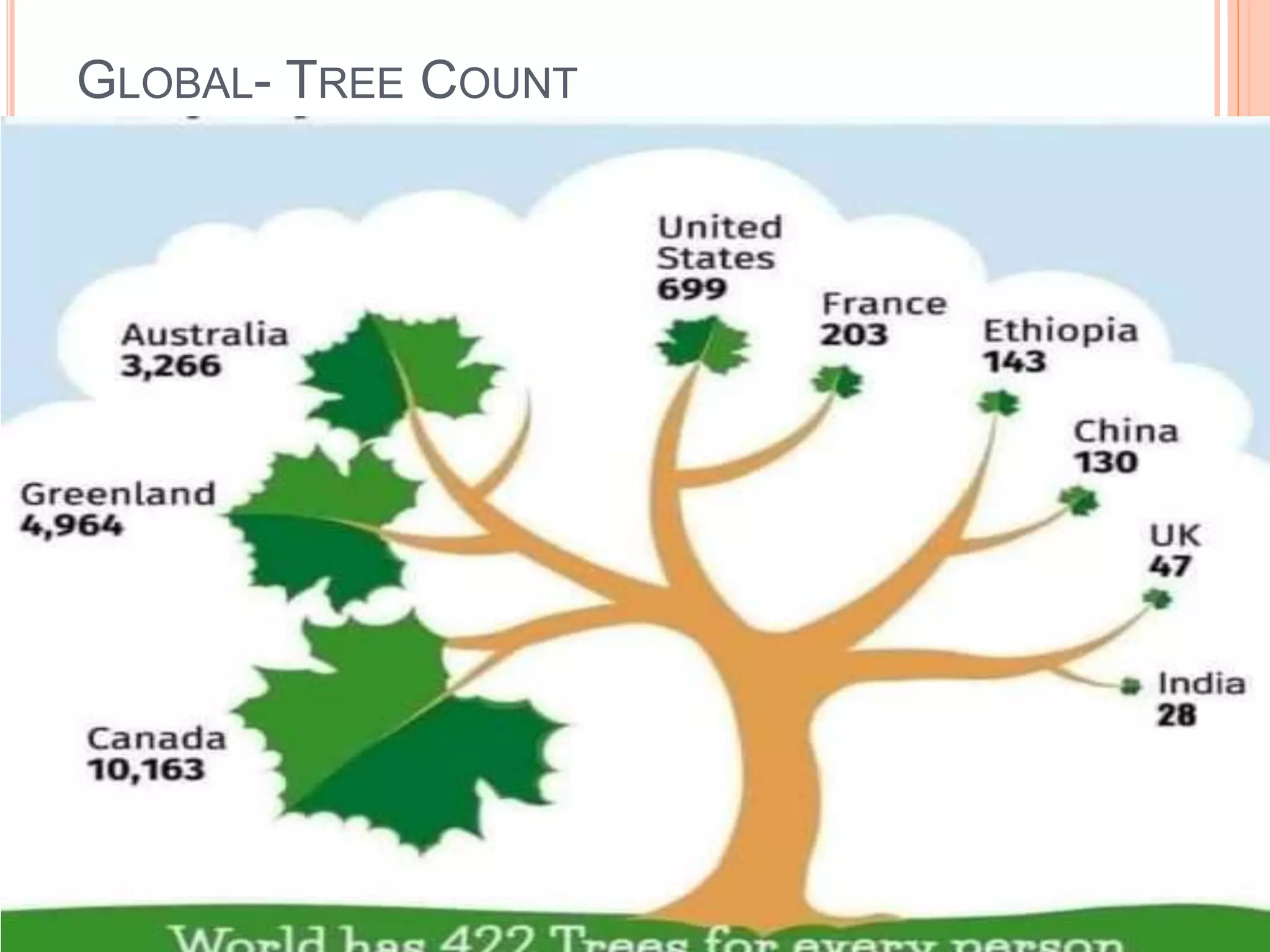 GLOBAL- TREE COUNT
 