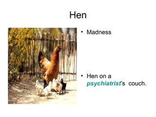 Hen Madness Hen on a  psychiatrist ’s  couch. 