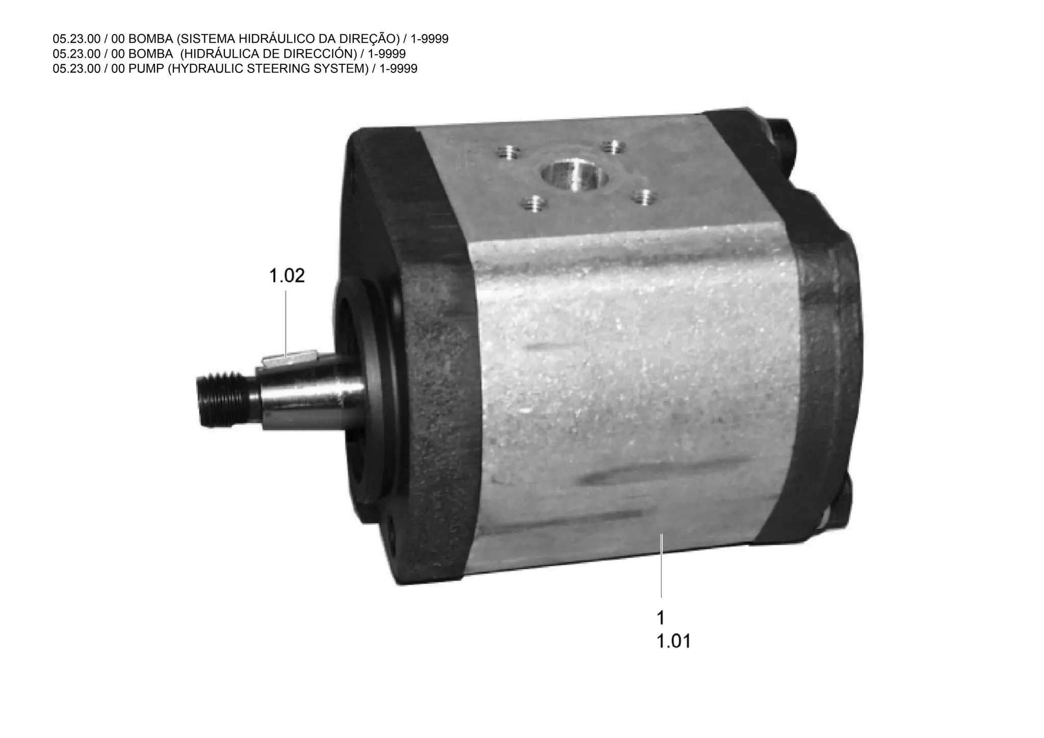 05.23.00 / 00 BOMBA (SISTEMA HIDRÁULICO DA DIREÇÃO) / 1-9999
05.23.00 / 00 BOMBA (HIDRÁULICA DE DIRECCIÓN) / 1-9999
05.23.00 / 00 PUMP (HYDRAULIC STEERING SYSTEM) / 1-9999
 
