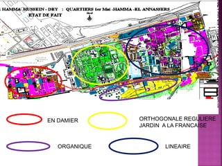 EN DAMIER ORTHOGONALE REGULIERE
JARDIN A LA FRANCAISE
ORGANIQUE LINEAIRE
 