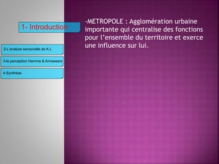 -METROPOLE : Agglomération urbaine
importante qui centralise des fonctions
pour l’ensemble du territoire et exerce
une influence sur lui.
3-la perception Hamma & Annassers
4-Synthèse
2-L’analyse sensorielle de K.L
1- Introduction
 