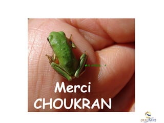 Merci
CHOUKRAN
HTB

juin 2008

EL GHEZAL A.

 