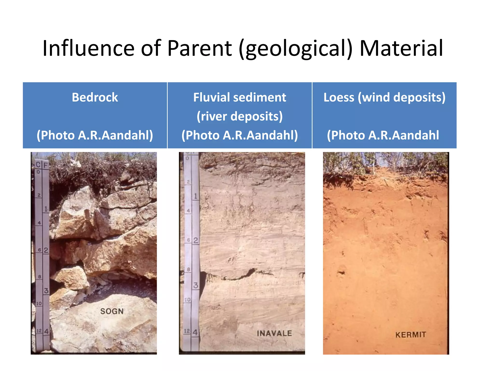 Influence of Parent (geological) Material
Bedrock
(Photo A.R.Aandahl)

Fluvial sediment
(river deposits)
(Photo A.R.Aandahl)

Loess (wind deposits)
(Photo A.R.Aandahl

 