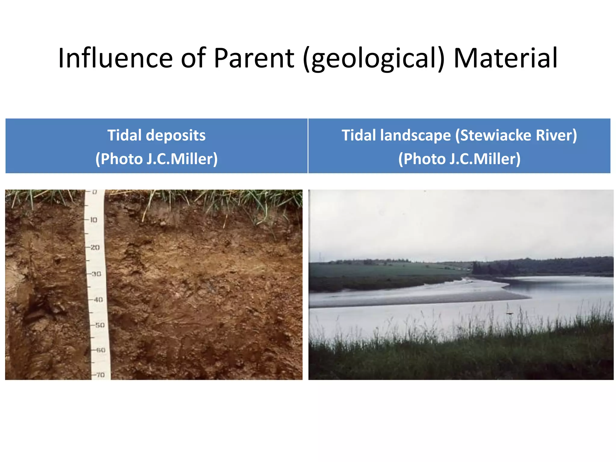 Influence of Parent (geological) Material
Tidal deposits
(Photo J.C.Miller)

Tidal landscape (Stewiacke River)
(Photo J.C.Miller)

 