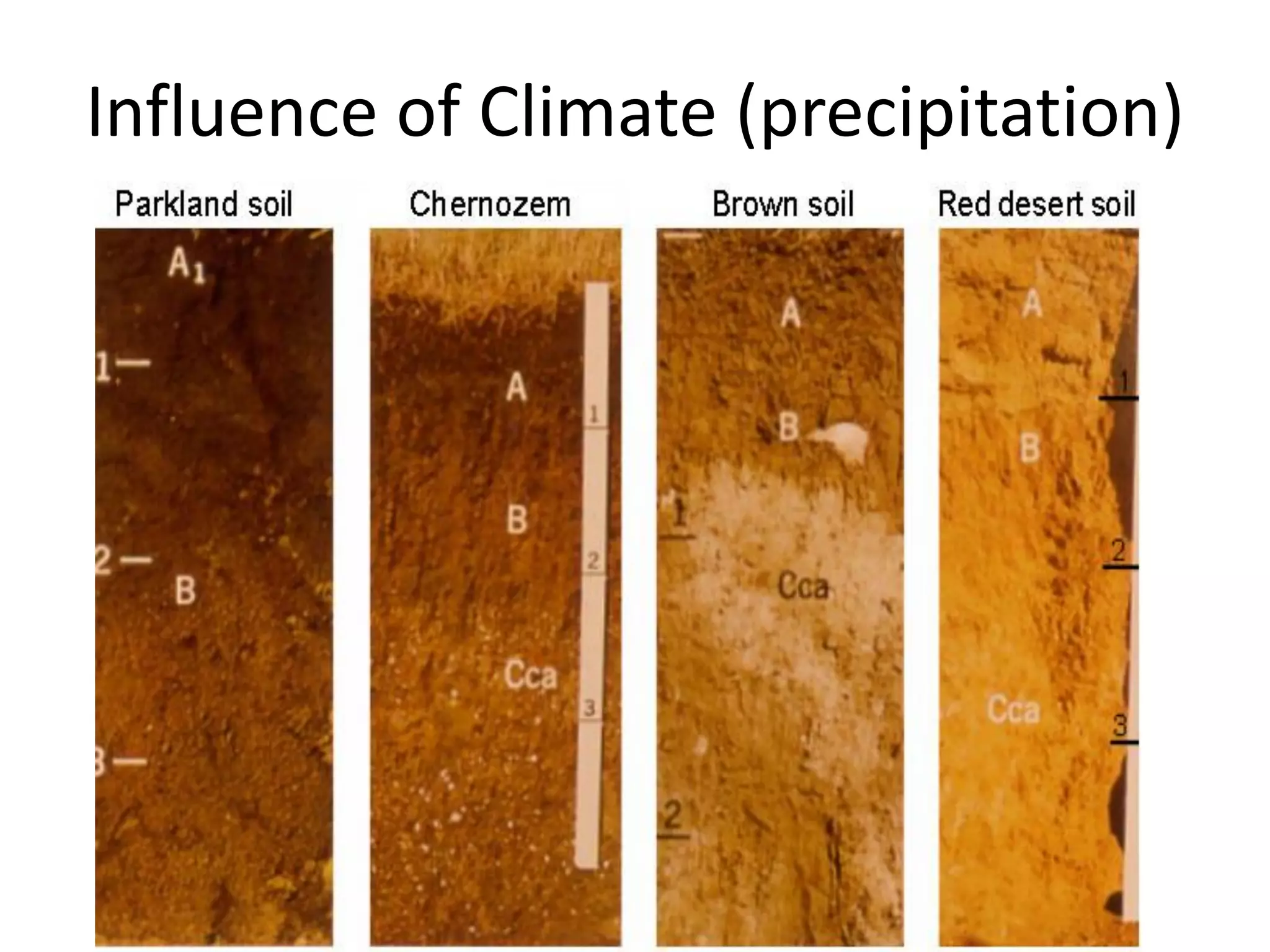 Influence of Climate (precipitation)

 