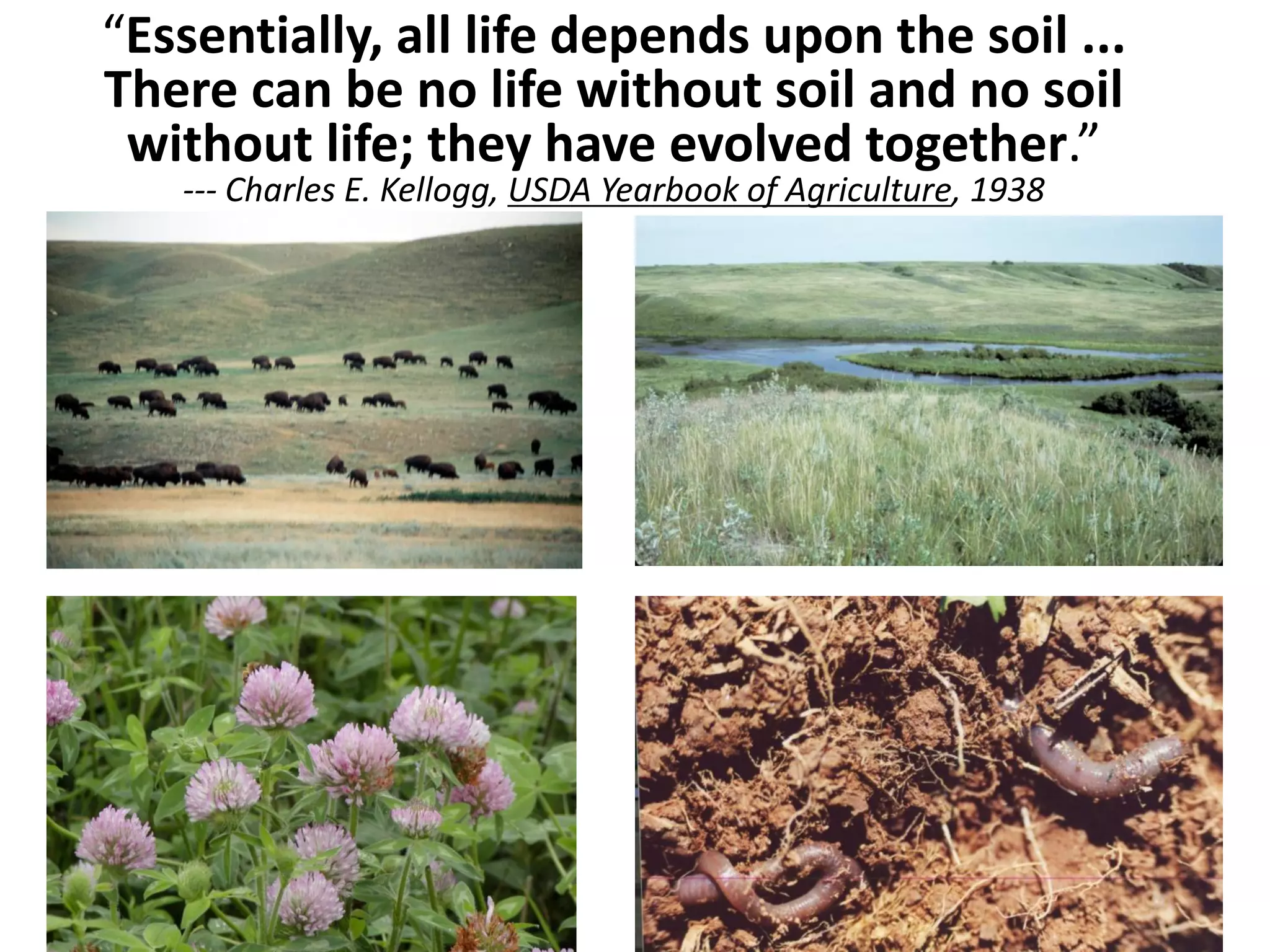 “Essentially, all life depends upon the soil ...
There can be no life without soil and no soil
without life; they have evolved together.”
--- Charles E. Kellogg, USDA Yearbook of Agriculture, 1938

 