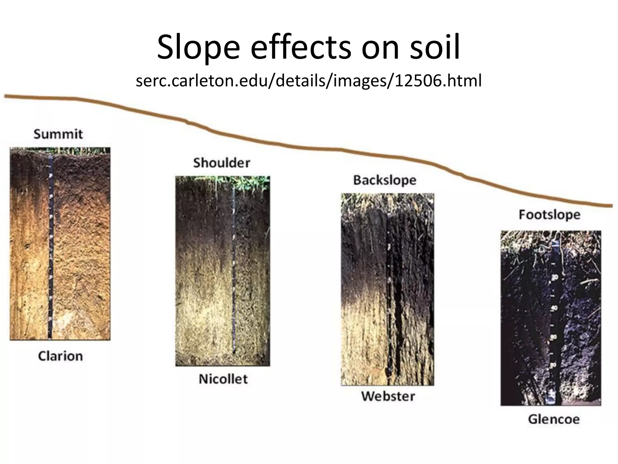 Slope effects on soil
serc.carleton.edu/details/images/12506.html

 