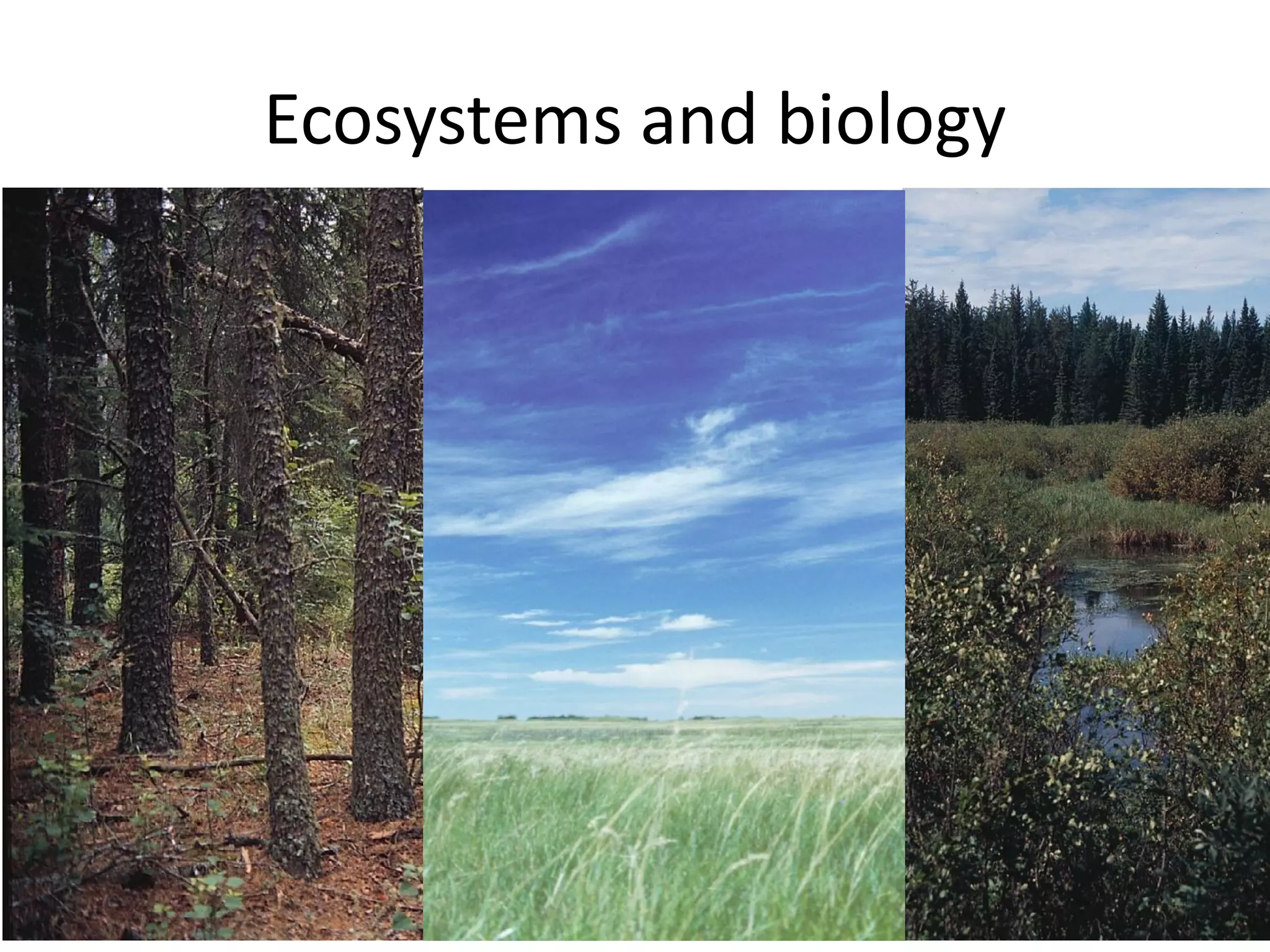 Ecosystems and biology

 