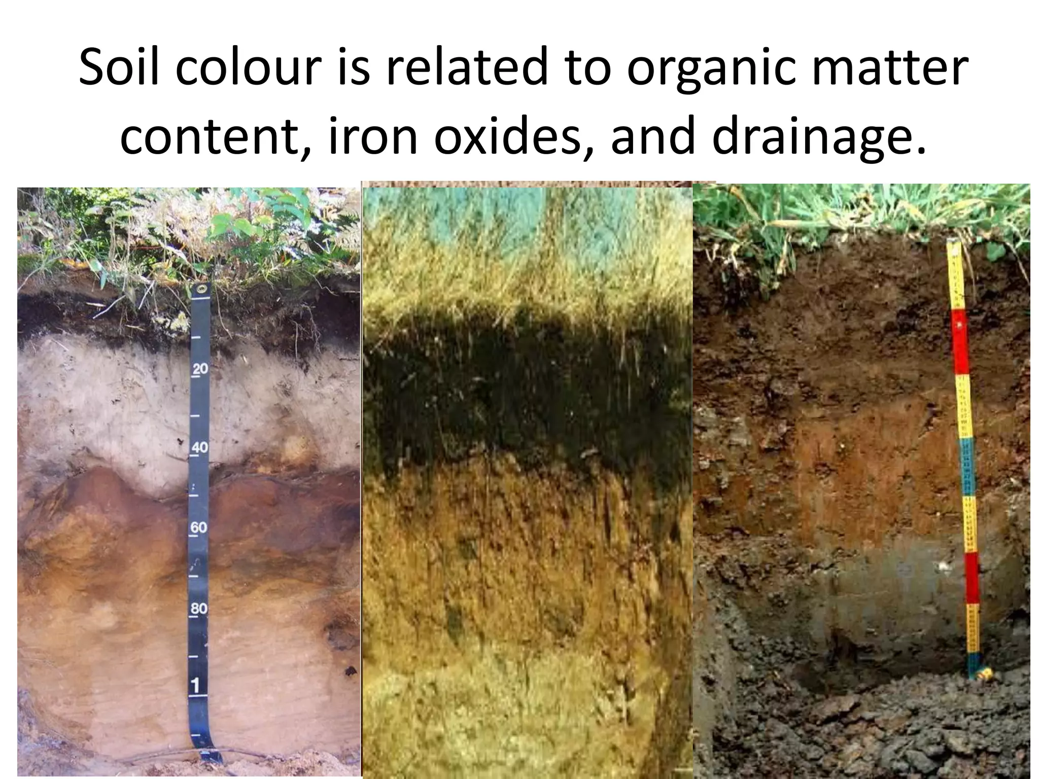 Soil colour is related to organic matter
content, iron oxides, and drainage.

 