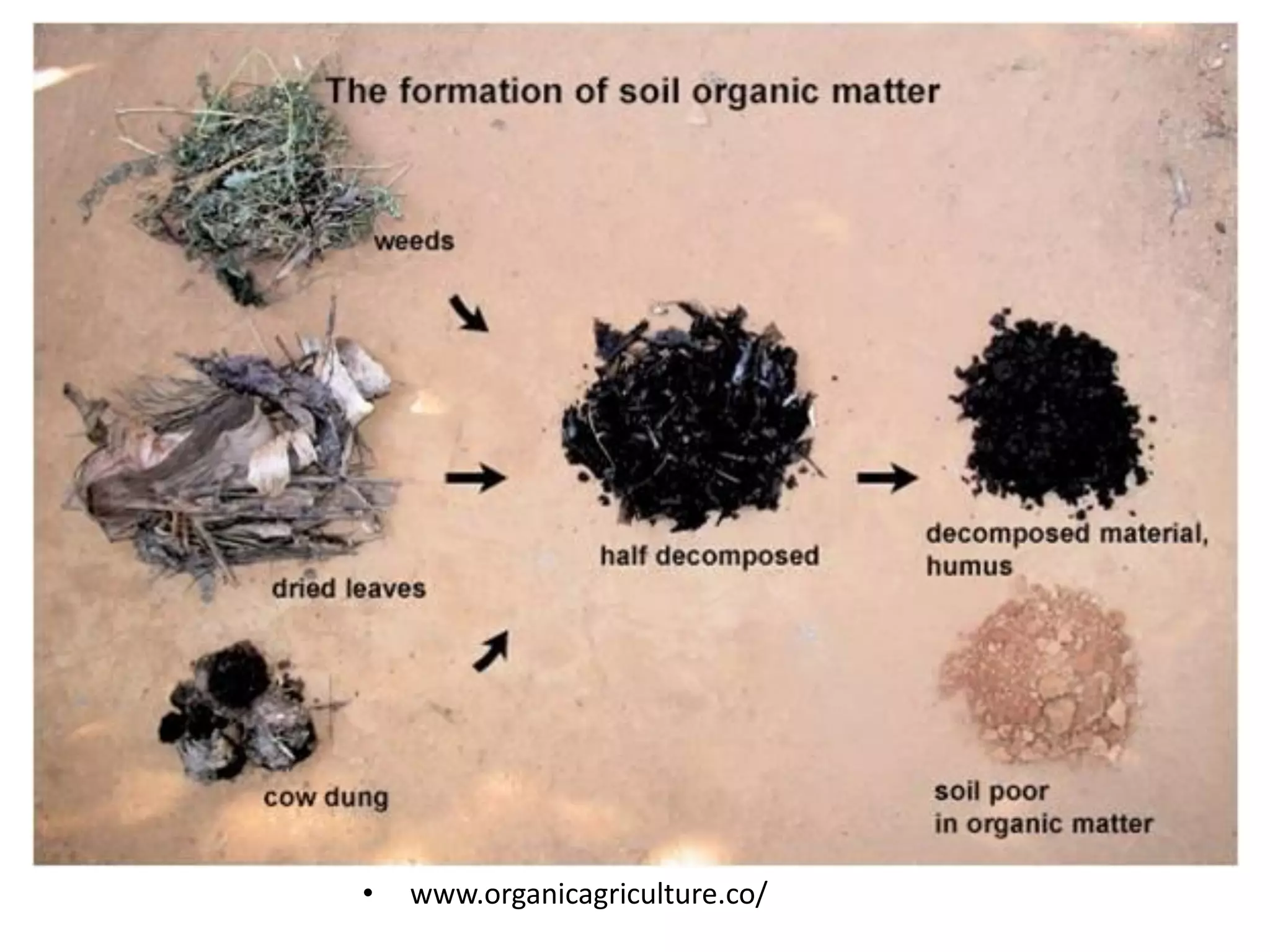 •

www.organicagriculture.co/

 