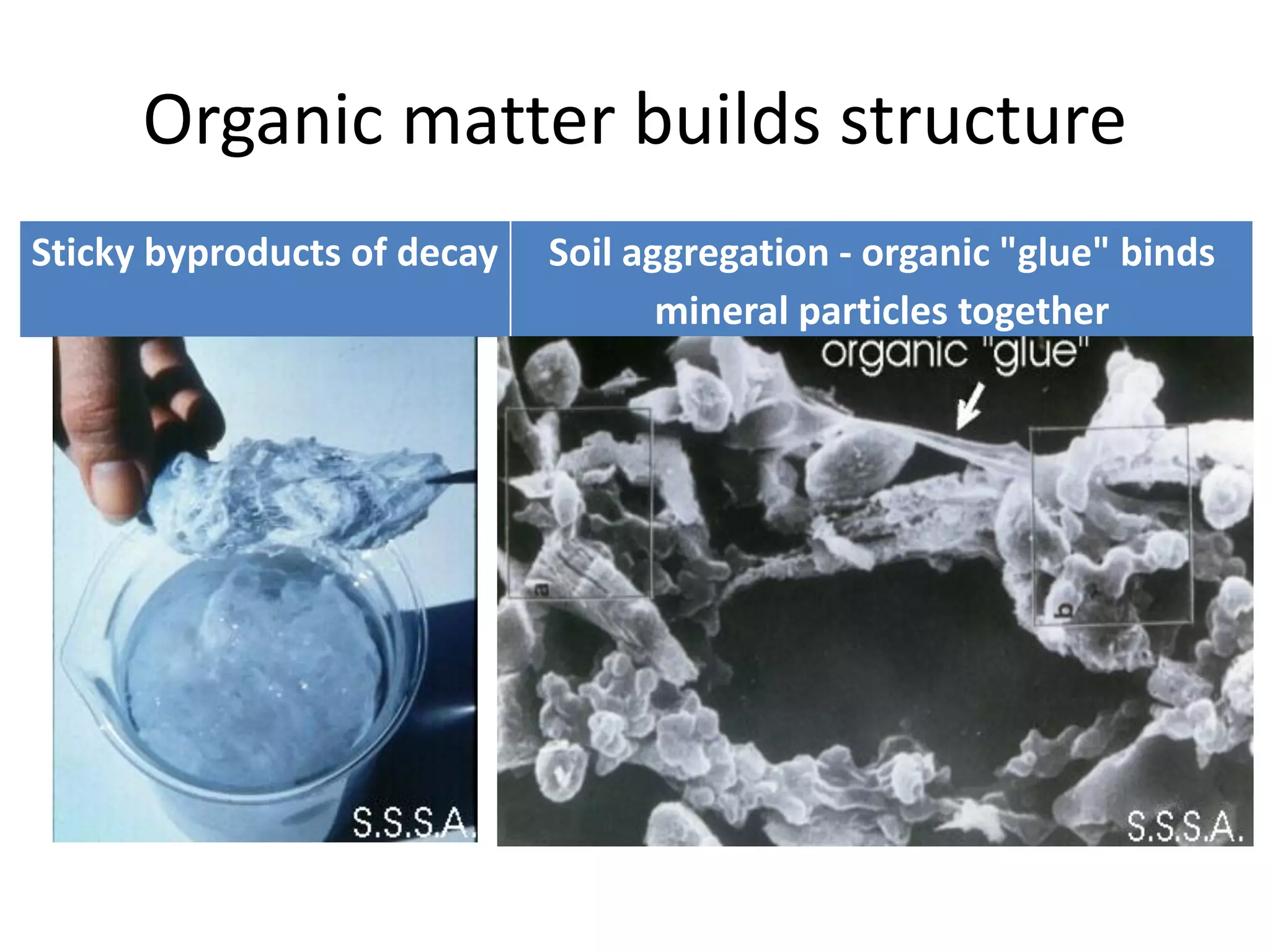 Organic matter builds structure
Sticky byproducts of decay

Soil aggregation - organic "glue" binds
mineral particles together

 