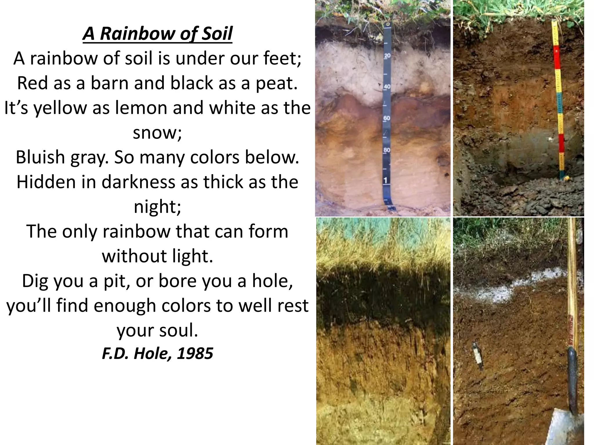 A Rainbow of Soil
A rainbow of soil is under our feet;
Red as a barn and black as a peat.
It’s yellow as lemon and white as the
snow;
Bluish gray. So many colors below.
Hidden in darkness as thick as the
night;
The only rainbow that can form
without light.
Dig you a pit, or bore you a hole,
you’ll find enough colors to well rest
your soul.
F.D. Hole, 1985

 