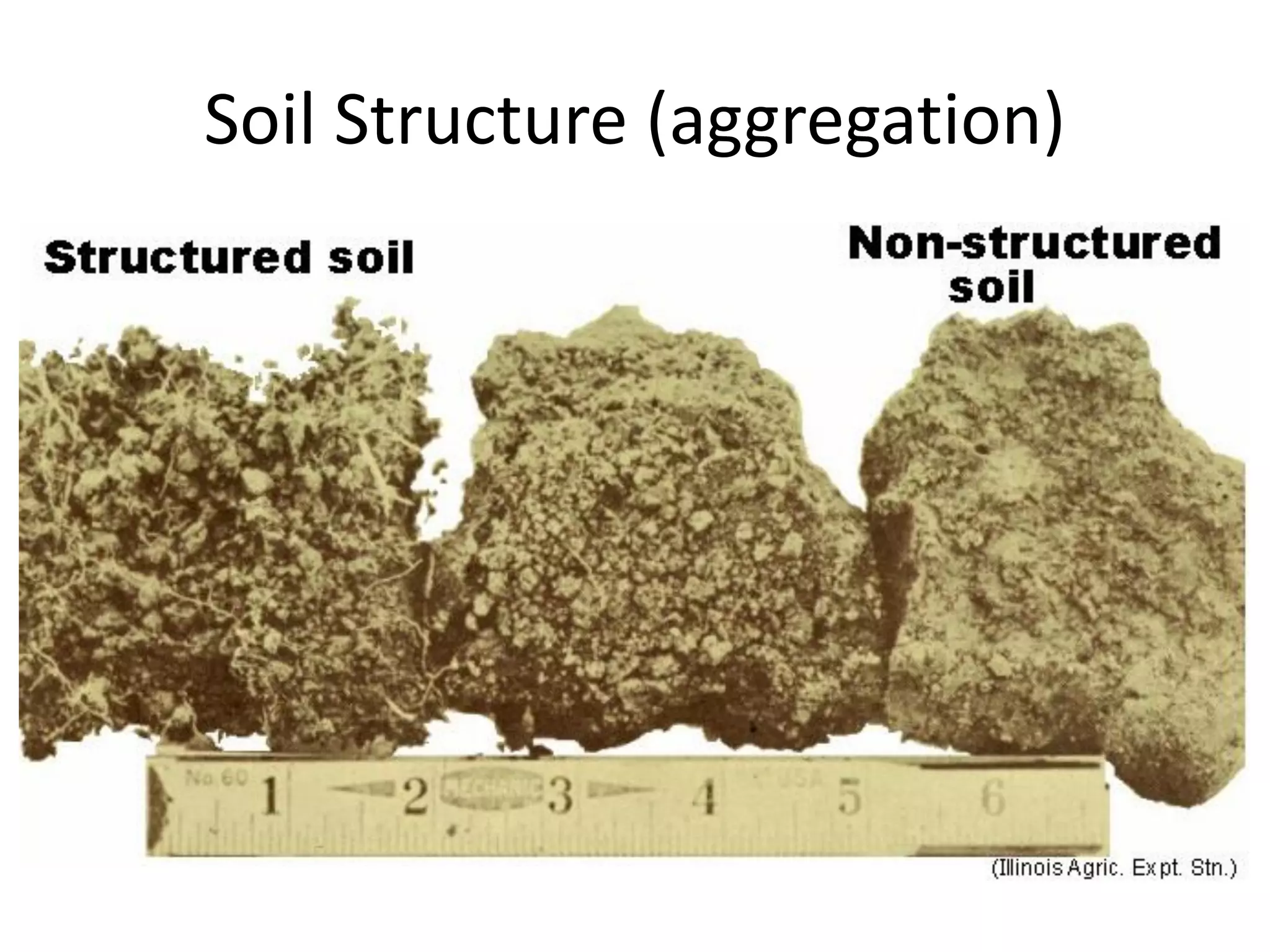Soil Structure (aggregation)

 
