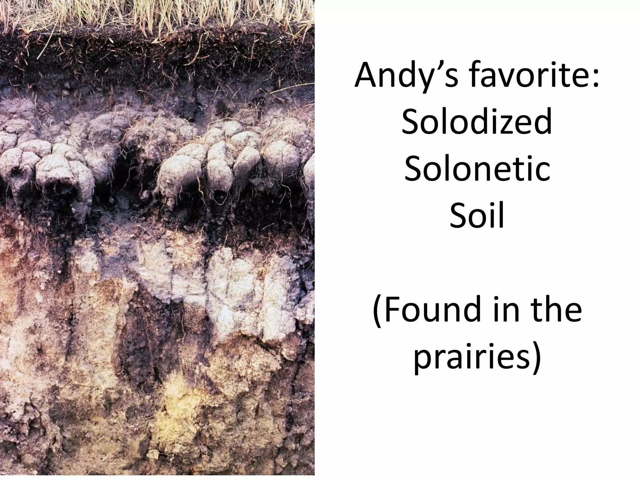 Andy’s favorite:
Solodized
Solonetic
Soil
(Found in the
prairies)

 