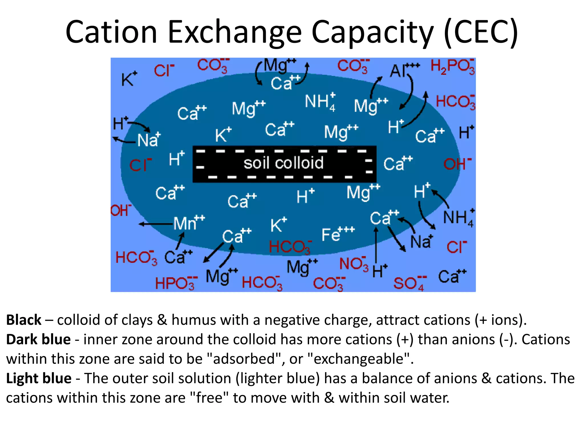 Cation Exchange Capacity (CEC)

Black – colloid of clays & humus with a negative charge, attract cations (+ ions).
Dark blue - inner zone around the colloid has more cations (+) than anions (-). Cations
within this zone are said to be "adsorbed", or "exchangeable".
Light blue - The outer soil solution (lighter blue) has a balance of anions & cations. The
cations within this zone are "free" to move with & within soil water.

 