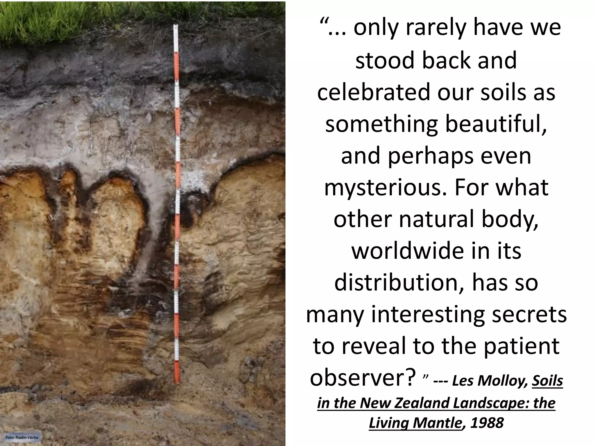 “... only rarely have we
stood back and
celebrated our soils as
something beautiful,
and perhaps even
mysterious. For what
other natural body,
worldwide in its
distribution, has so
many interesting secrets
to reveal to the patient
observer? ” --- Les Molloy, Soils
in the New Zealand Landscape: the
Living Mantle, 1988

 