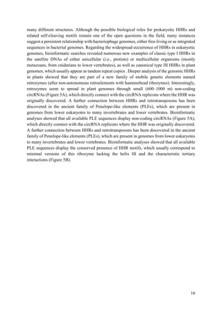 16
many different structures. Although the possible biological roles for prokaryotic HHRs and
related self-cleaving motifs remain one of the open questions in the field, many instances
suggest a persistent relationship with bacteriophage genomes, either free-living or as integrated
sequences in bacterial genomes. Regarding the widespread occurrence of HHRs in eukaryotic
genomes, bioinformatic searches revealed numerous new examples of classic type I HHRs in
the satellite DNAs of either unicellular (i.e., protists) or multicellular organisms (mostly
metazoans, from cnidarians to lower vertebrates), as well as canonical type III HHRs in plant
genomes, which usually appear as tandem repeat copies . Deeper analysis of the genomic HHRs
in plants showed that they are part of a new family of mobile genetic elements named
retrozymes (after non-autonomous retroelements with hammerhead ribozymes). Interestingly,
retrozymes seem to spread in plant genomes through small (600–1000 nt) non-coding
circRNAs (Figure 5A), which directly connect with the circRNA replicons where the HHR was
originally discovered. A further connection between HHRs and retrotransposons has been
discovered in the ancient family of Penelope-like elements (PLEs), which are present in
genomes from lower eukaryotes to many invertebrates and lower vertebrates. Bioinformatic
analyses showed that all available PLE sequences display non-coding circRNAs (Figure 5A),
which directly connect with the circRNA replicons where the HHR was originally discovered.
A further connection between HHRs and retrotransposons has been discovered in the ancient
family of Penelope-like elements (PLEs), which are present in genomes from lower eukaryotes
to many invertebrates and lower vertebrates. Bioinformatic analyses showed that all available
PLE sequences display the conserved presence of HHR motifs, which usually correspond to
minimal versions of this ribozyme lacking the helix III and the characteristic tertiary
interactions (Figure 5B).
 