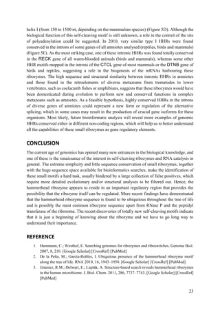 23
helix I (from 150 to 1500 nt, depending on the mammalian species) (Figure 5D). Although the
biological function of this self-cleaving motif is still unknown, a role in the control of the site
of polyadenylation could be suggested. In 2010, very similar type I HHRs were found
conserved in the introns of some genes of all amniotes analysed (reptiles, birds and mammals)
(Figure 5E). As the most striking case, one of these intronic HHRs was found totally conserved
in the RECK gene of all warm-blooded animals (birds and mammals), whereas some other
HHR motifs mapped in the introns of the CTCL gene of most mammals or the DTNB gene of
birds and reptiles, suggesting a role in the biogenesis of the mRNAs harbouring these
ribozymes. The high sequence and structural similarity between intronic HHRs in amniotes
and those found in the retroelements of diverse metazoans from trematodes to lower
vertebrates, such as coelacanth fishes or amphibians, suggests that these ribozymes would have
been domesticated during evolution to perform new and conserved functions in complex
metazoans such as amniotes. As a feasible hypothesis, highly conserved HHRs in the introns
of diverse genes of amniotes could represent a new form or regulation of the alternative
splicing, which in some cases may result in the production of crucial gene isoforms for these
organisms. Most likely, future bioinformatic analysis will reveal more examples of genomic
HHRs conserved either in different non-coding regions, which will help us to better understand
all the capabilities of these small ribozymes as gene regulatory elements.
CONCLUSION
The current age of genomics has opened many new entrances in the biological knowledge, and
one of these is the renaissance of the interest in self-cleaving ribozymes and RNA catalysis in
general. The extreme simplicity and little sequence conservation of small ribozymes, together
with the huge sequence space available for bioinformatics searches, make the identification of
these small motifs a hard task, usually hindered by a large collection of false positives, which
require more detailed evolutionary and/or structural analyses to be filtered out. Hence, the
hammerhead ribozyme appears to reside in an important regulatory region that provides the
possibility that the ribozyme itself can be regulated. More recent findings have demonstrated
that the hammerhead ribozyme sequence is found to be ubiquitous throughout the tree of life
and is possibly the most common ribozyme sequence apart from RNase P and the peptidyl
transferase of the ribosome. The recent discoveries of totally new self-cleaving motifs indicate
that it is just a beginning of knowing about the ribozyme and we have to go long way to
understand their importance.
REFERENCE
1. Hammann, C.; Westhof, E. Searching genomes for ribozymes and riboswitches. Genome Biol.
2007, 8, 210. [Google Scholar] [CrossRef] [PubMed]
2. De la Peña, M.; García-Robles, I. Ubiquitous presence of the hammerhead ribozyme motif
along the tree of life. RNA 2010, 16, 1943–1950. [Google Scholar] [CrossRef] [PubMed]
3. Jimenez, R.M.; Delwart, E.; Lupták, A. Structure-based search reveals hammerhead ribozymes
in the human microbiome. J. Biol. Chem. 2011, 286, 7737–7743. [Google Scholar] [CrossRef]
[PubMed]
 