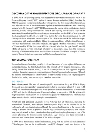 5
DISCOVERY OF THE HHR IN INFECTIOUS CIRCULAR RNAS OF PLANTS
In 1986, RNA self-cleaving activity was independently reported for the satellite RNA of the
Tobacco Ringspot virus (sTRSV) and the Avocado Sunblotch viroid (ASBVd). Based on the
ASBVd sequence, comparison studies allowed to propose the first model of the hammerhead
fold, which in the case of this viroid can be regarded as a kind of type I HHRs with a relatively
unstable helix III. Curiously, ASBVd HHRs are among the most atypical motifs known for this
ribozyme, with no clearly delimited helix I and II. Self-cleaving activity due to a type I HHR
was reported in a radically different environment: the so-called satellite DNA of newt genomes.
Biochemical analysis of both newt and viroid motifs showed a dimeric mechanism for self-
cleavage catalysis, where two tandem copies of the HHR in the same RNA molecule adopt a
conformation with an elongated helix III that licenses much higher self-cleaving efficiency in
vitro than the monomeric form of the ribozyme. The type III HHR fold was defined by analysis
of diverse satellite RNAs. In contrast with the observed behaviour for type I motifs, type III
HHRs self-cleave in vitro with high efficiency as monomers. Since then the continuous
discovery of newer members made a collection of more than 20 different examples of HHRs,
many of them with their own structural and biochemical peculiarities.
THE MINIMAL SEQUENCE
The minimal hammerhead ribozyme (Fig. 1.1A and B) consists of a core region of 15 conserved
nucleotides flanked by three helical stems. The optimal activity requires the presence of a
tertiary interaction between stem(s) I and II. Although there is little apparent sequence
variation, the contact appears to be present in most if not all hammerhead sequences. Although
the minimal hammerhead has a turnover rate of approximately 1 min−1
, full-length sequences
that include a tertiary structure are up to 1000-fold more active.
ENZYMOLOGY
Rate enhancement: The rate of non-site-specific, spontaneous decay of RNA is highly
dependent upon the secondary structural context, but is on average about 10−6 min−1.22.
Hence, the rate enhancement provided by an optimized minimal hammerhead is on the order
of 106, and for the full-length natural hammerhead can be as much as 109. To achieve this
magnitude of rate enhancement, not to mention site specificity, the hammerhead ribozyme must
adopt several effective catalytic strategies simultaneously.
Metal ions and catalysis: Originally, it was believed that all ribozymes, including the
hammerhead ribozyme, were obligate metalloenzymes. Mg2+ ion is assumed to be the
biologically relevant divalent cation, although the hammerhead is active in the presence of a
variety of divalent cations.The proposed roles for Mg2+ ion in catalysis included both acid and
base catalysis as well as direct coordination of the pro-R nonbridging phosphate oxygen of the
scissile phosphate for transition-state stabilization. Mg2+ ion has also been implicated in
structural roles that facilitate formation of the active ribozyme.
In 1998, it was demonstrated that the hammerhead, along with the hairpin and Varkud satellite
(VS) ribozymes (but not the hepatitis delta virus HDV ribozyme) could also function in the
 
