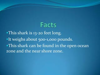 This shark is 13-20 feet long.
It weighs about 500-1,000 pounds.
This shark can be found in the open ocean
zone and the near shore zone.
 