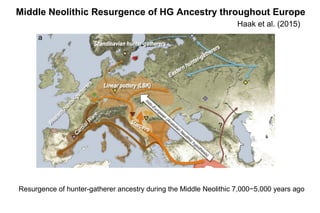 Connecting the Dots: What does the new model of European
ancestry based on autosomal DNA mean for the NRY and mtDNA?
• Whi...