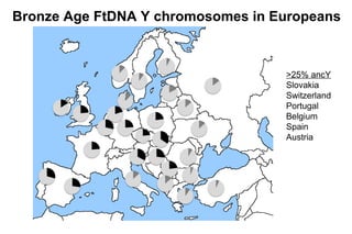 Bronze Age FtDNA Y chromosomes in Europeans
>25% ancY
Slovakia
Switzerland
Portugal
Belgium
Spain
Austria
 