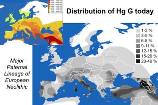 Distribution of Hg G today
Major
Paternal
Lineage of
European
Neolithic
 