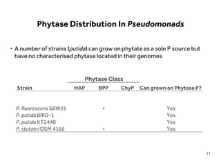 LIMITLESS POTENTIAL | LIMITLESS OPPORTUNITIES | LIMITLESS IMPACT
• A number of strains (putida) can grow on phytate as a sole P source but
have no characterised phytase located in their genomes
Phytase Distribution In Pseudomonads
Phytase Class
Strain HAP BPP ChyP Can grown on Phytase P?
P. fluorescens SBW25 + Yes
P. putida BIRD-1 Yes
P. putida KT2440 Yes
P. stutzeri DSM 4166 + Yes
11
 
