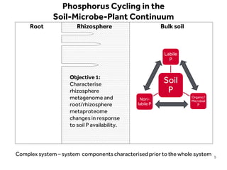 LIMITLESS POTENTIAL | LIMITLESS OPPORTUNITIES | LIMITLESS IMPACT
Root Bulk soilRhizosphere
Phosphorus Cycling in the
Soil-Microbe-Plant Continuum
Soil
P
Labile
P
Organic/
Microbial
P
Non-
labile P
Objective 1:
Characterise
rhizosphere
metagenome and
root/rhizosphere
metaproteome
changes in response
to soil P availability.
Complex system – system components characterised prior to the whole system 5
 