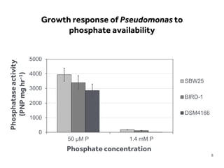 LIMITLESS POTENTIAL | LIMITLESS OPPORTUNITIES | LIMITLESS IMPACT
8
0
1000
2000
3000
4000
5000
50 µM P 1.4 mM P
Phosphataseactivity
(PNPmghr-1)
Phosphate concentration
SBW25
BIRD-1
DSM4166
Growth response of Pseudomonas to
phosphate availability
 